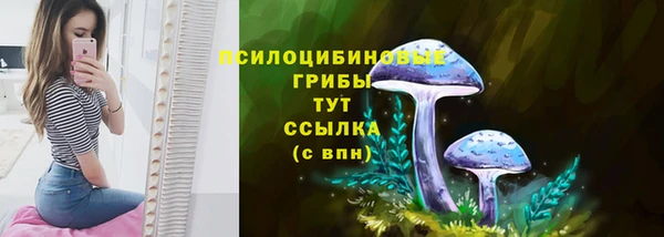гидра Нефтекумск