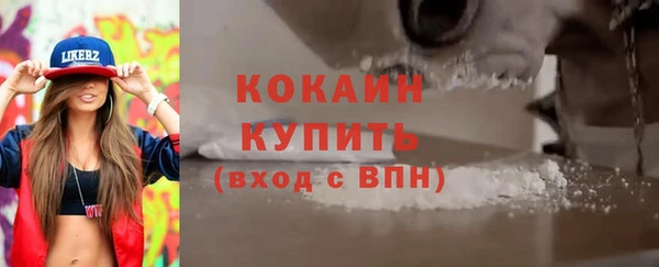 гашик Михайлов