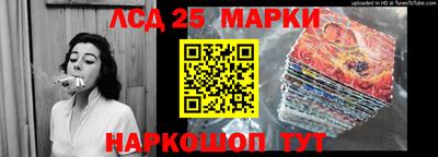 прущие грибы Гатчина