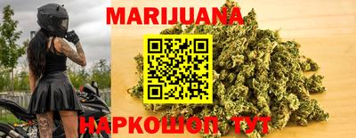 прущие грибы Гатчина