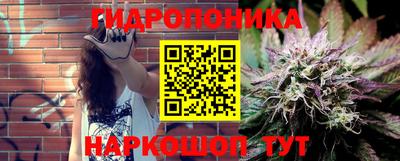 прущие грибы Гатчина