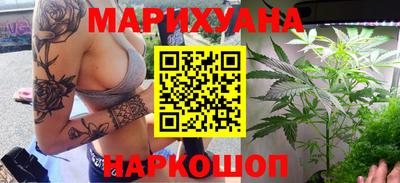 прущие грибы Гатчина