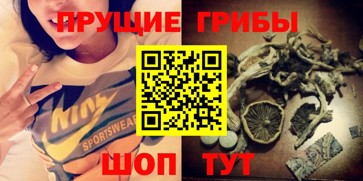 Галлюциногенные грибы Psilocybe  Клинцы 