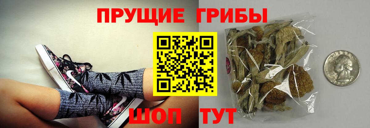 Псилоцибиновые грибы MAGIC MUSHROOMS Клинцы